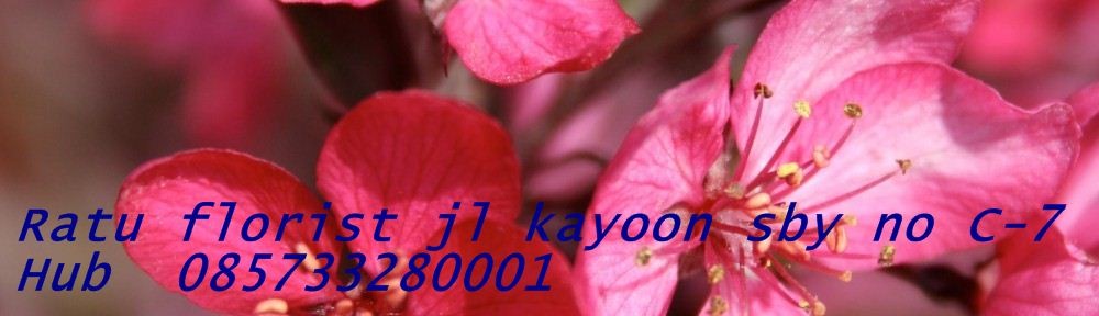 pesan karangan bunga papan-jual karangan bunga papan di surabaya TLP 085733280001